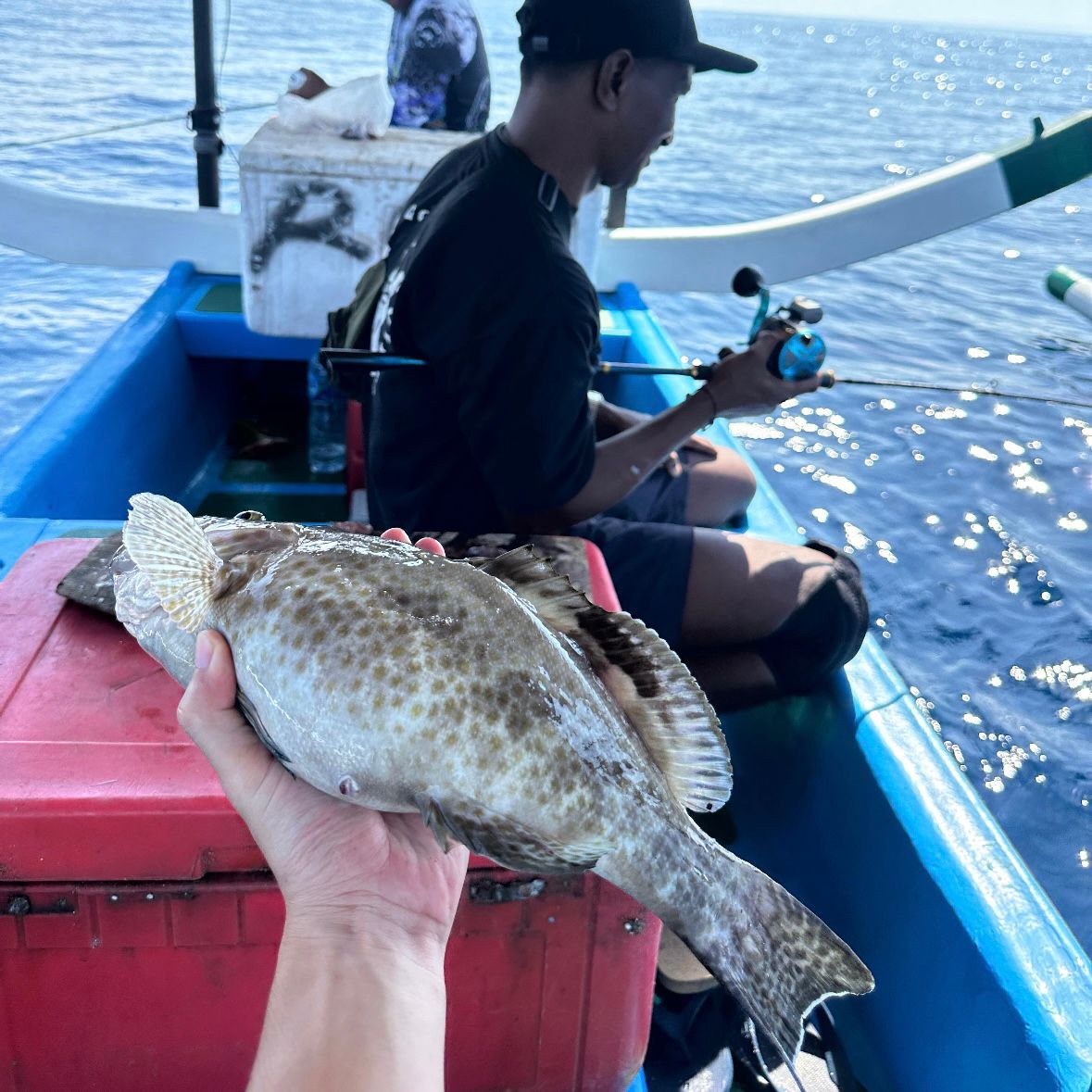 Fishing action with grouper