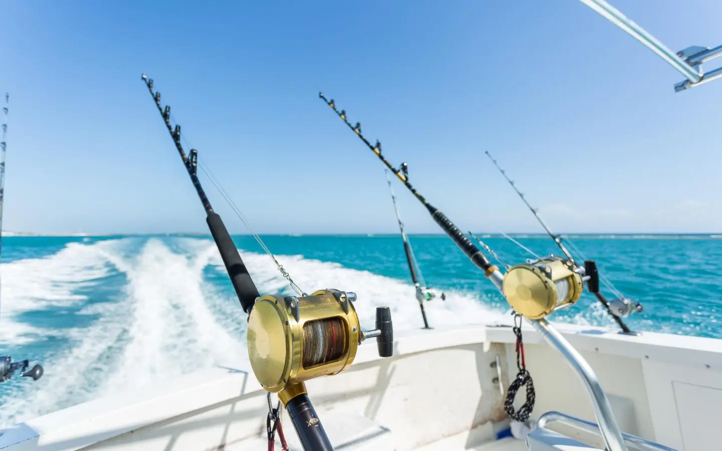 Professional fishing rods and reels set up on a Bali Back In Black boat